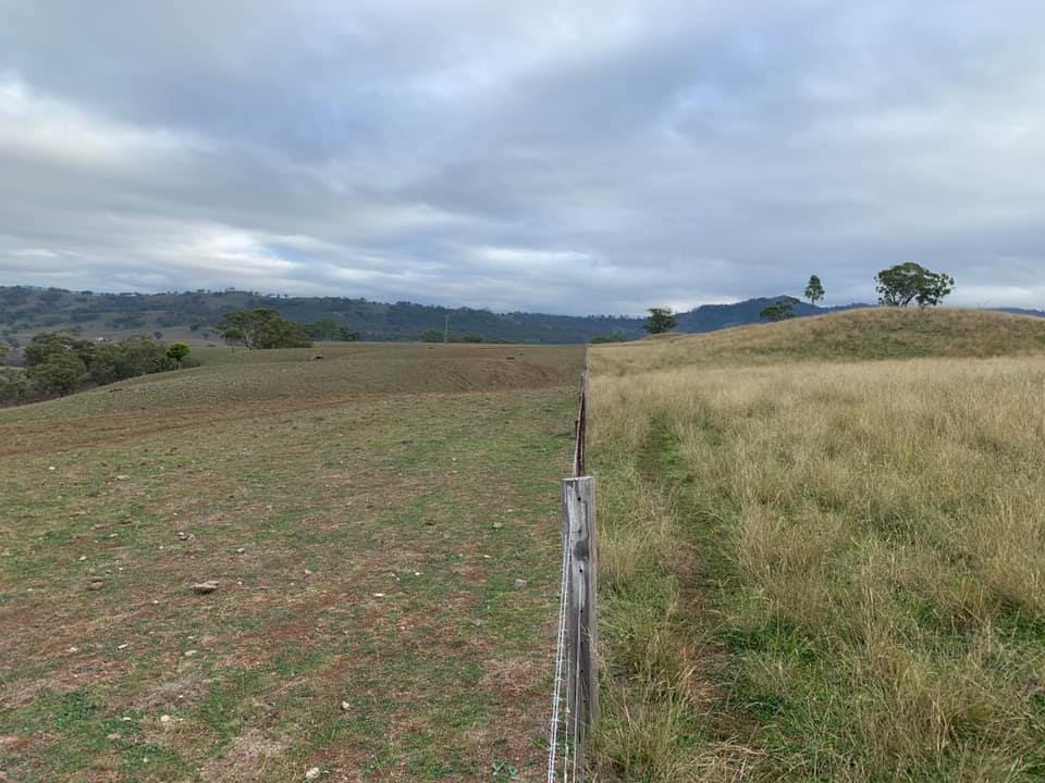 Free Drought Preparedness course