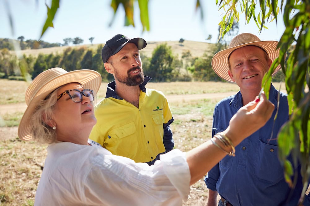 The ins and outs of carbon farming