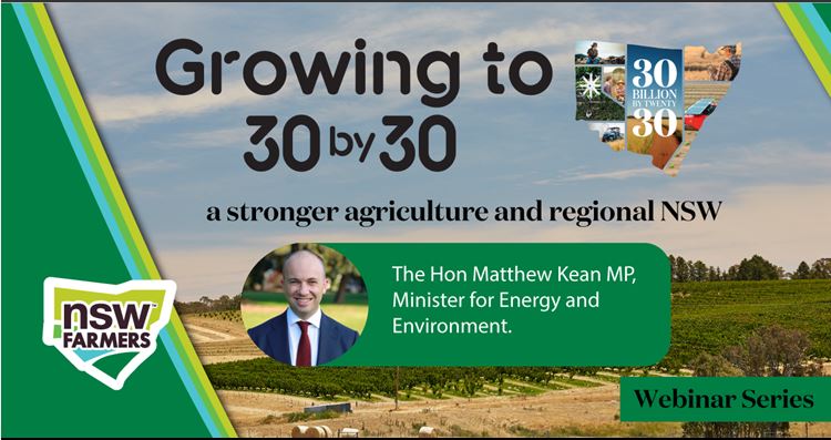 30 by 30 webinar: energy & environment