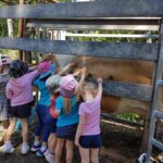 Kids to Farms