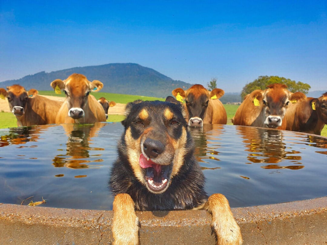 AgDay: Grow you good thing!
