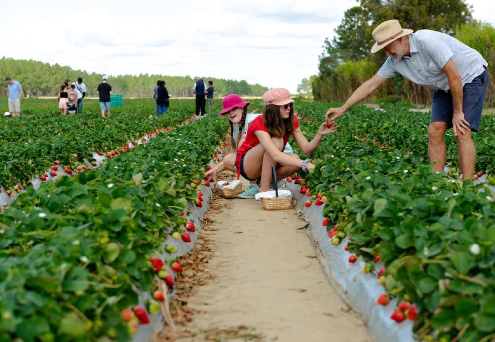Red tape slashed for agritourism