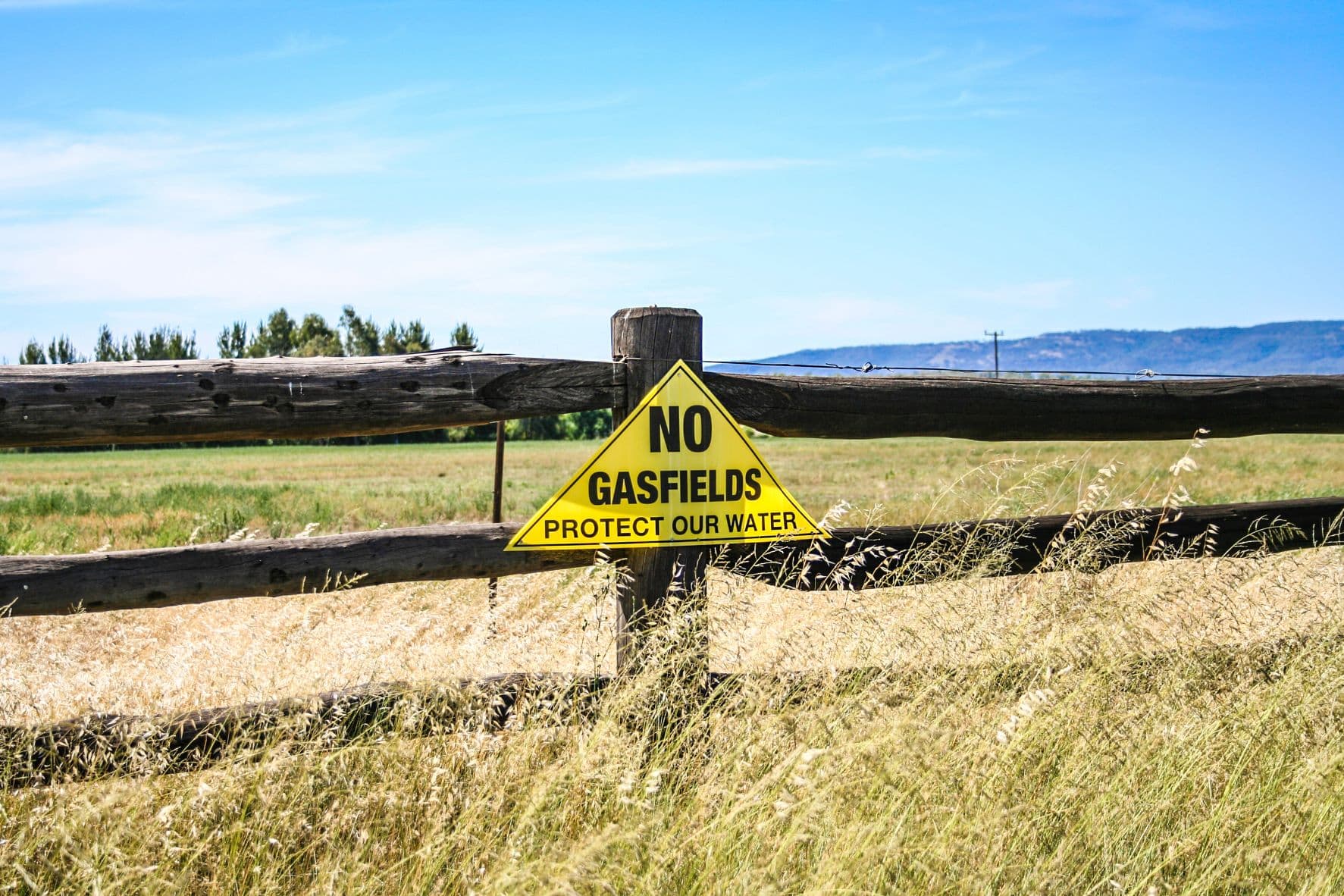 CSG fears reignited over ‘zombie’ licenses