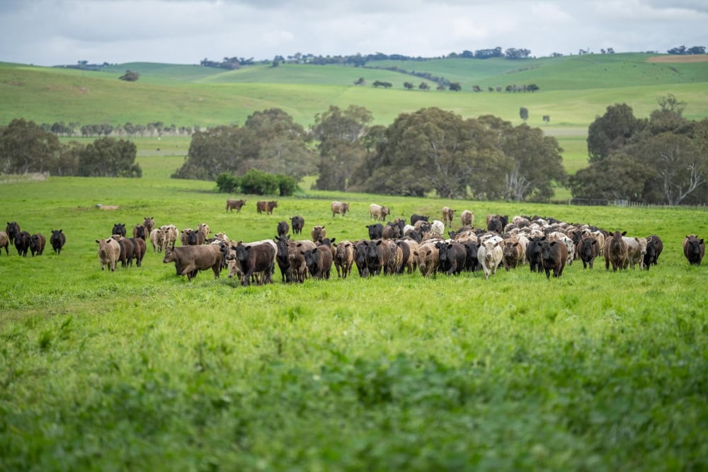 Lismore hosts biological farming expo