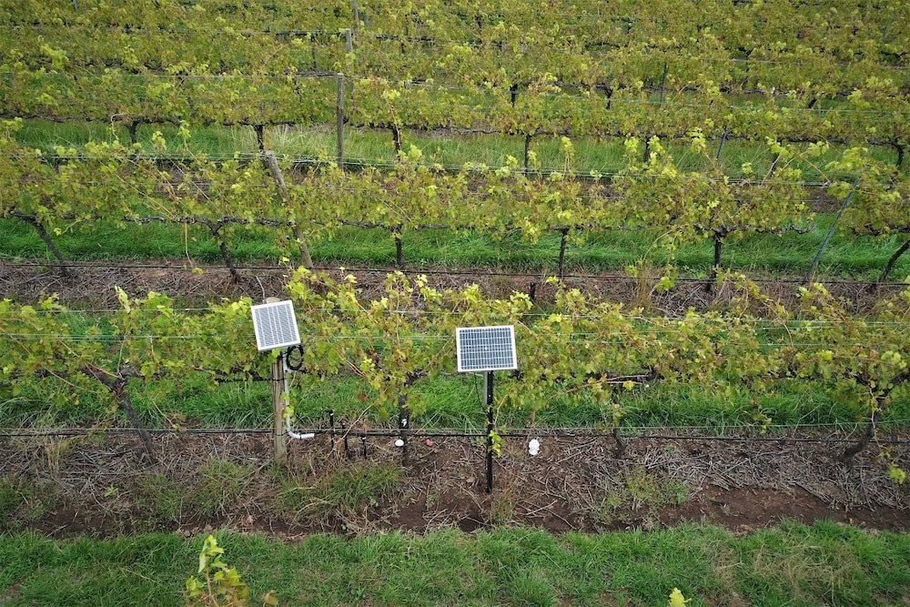 Smart farms of the future