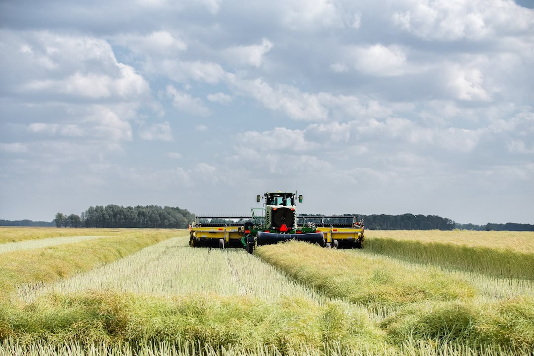 A farmer’s choice: to GM or not to GM?