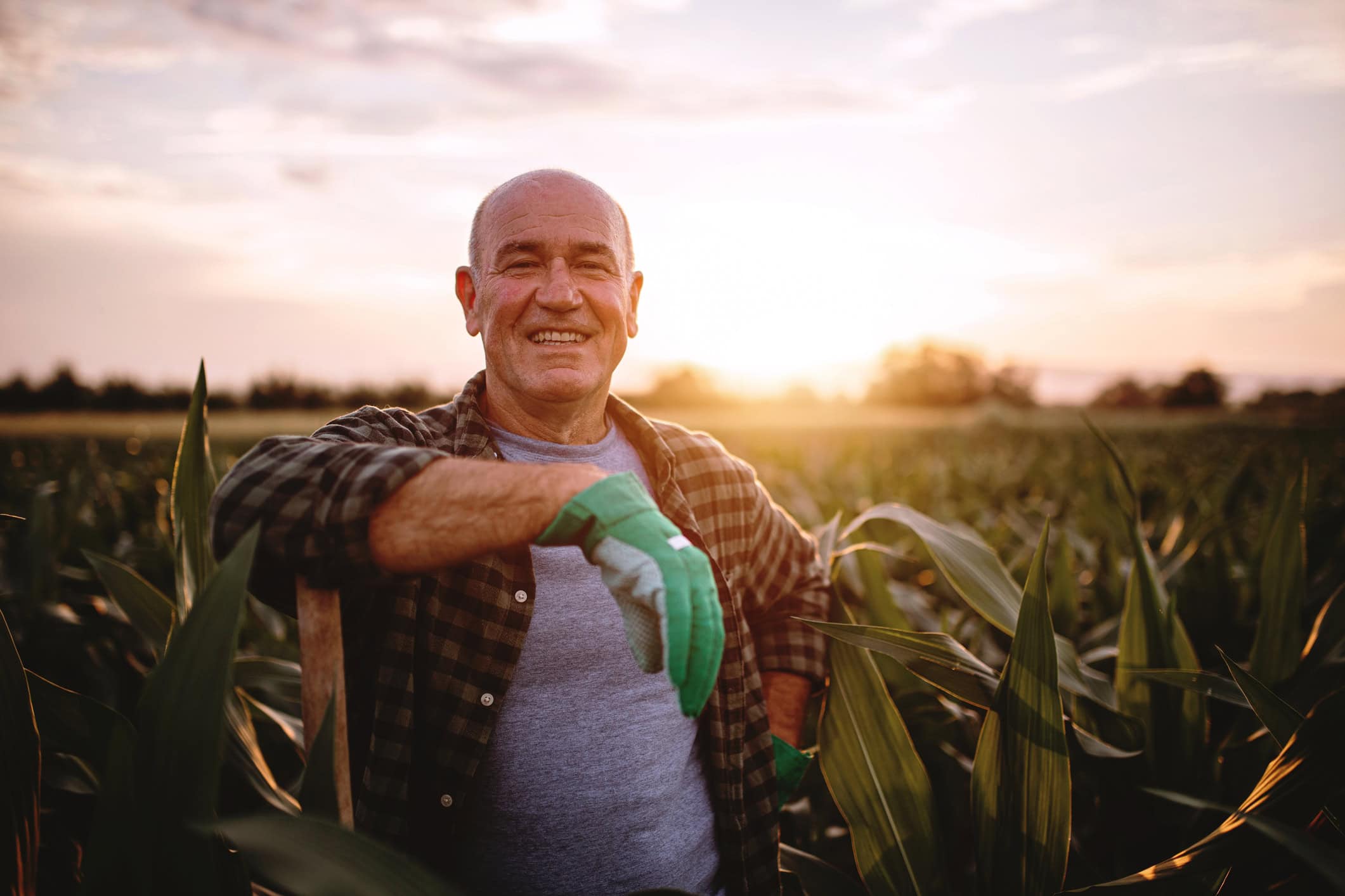 AUSTRALIA’S MOST AWARDED DIRECT LIFE INSURER OF 2020