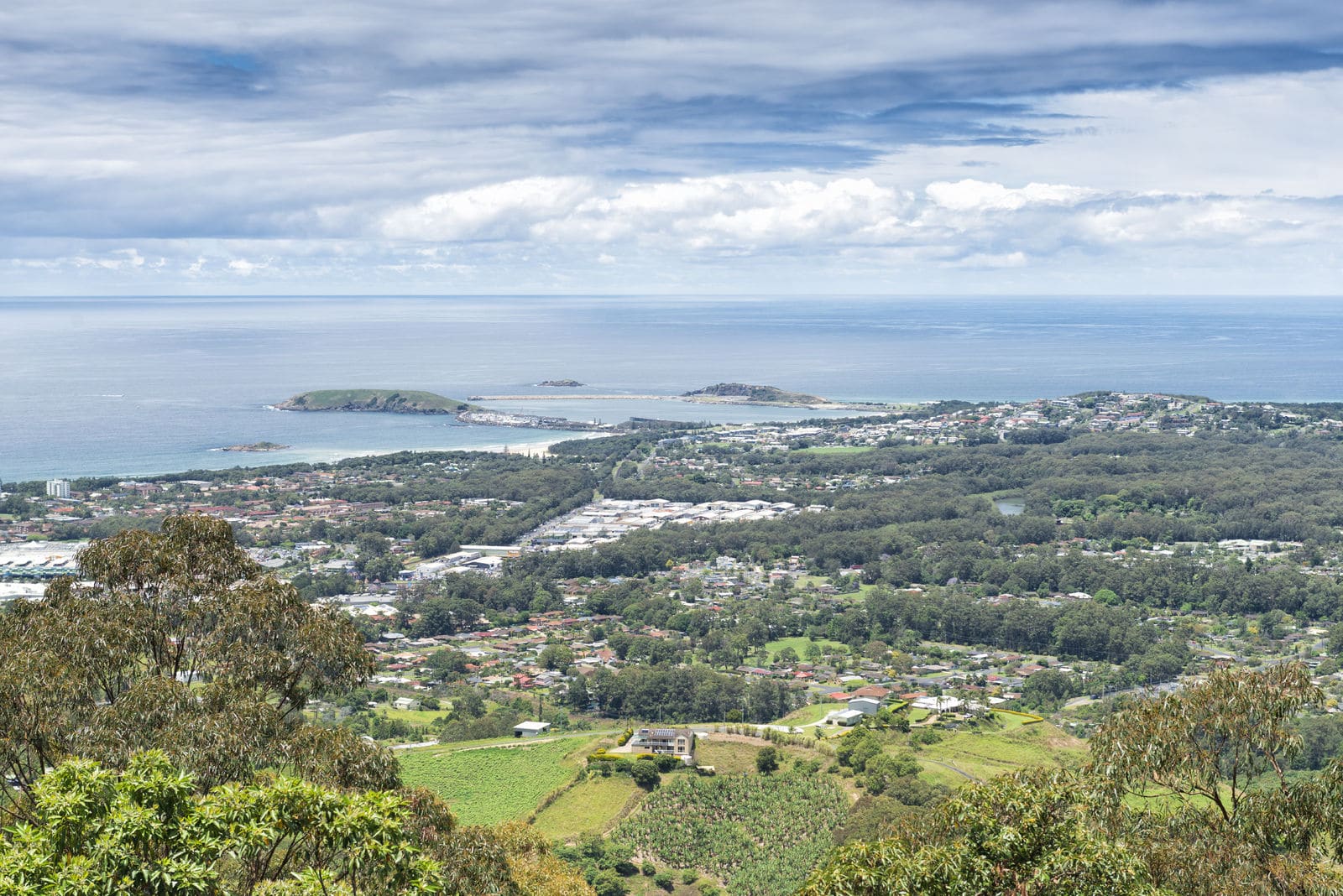 Regions must star in the federal election