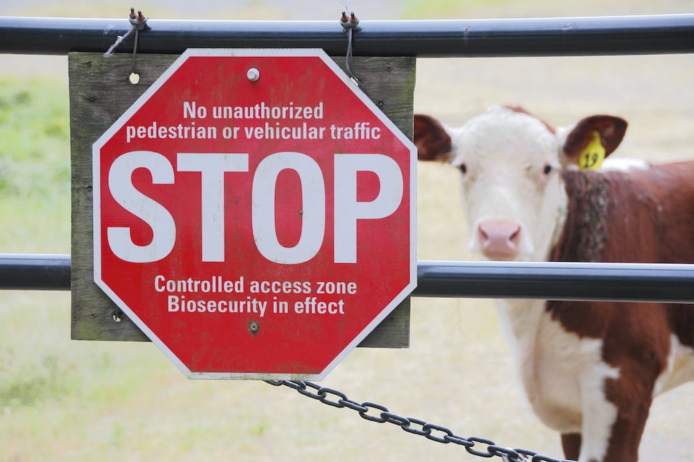 Federal budget biosecurity boost – at a cost