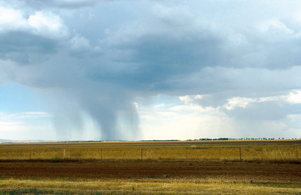 El Niño defies predictions: rainfall revitalises farms
