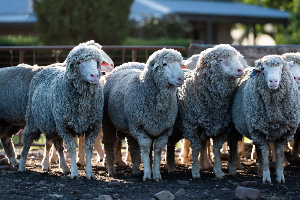 A year in review with The Farmer magazine