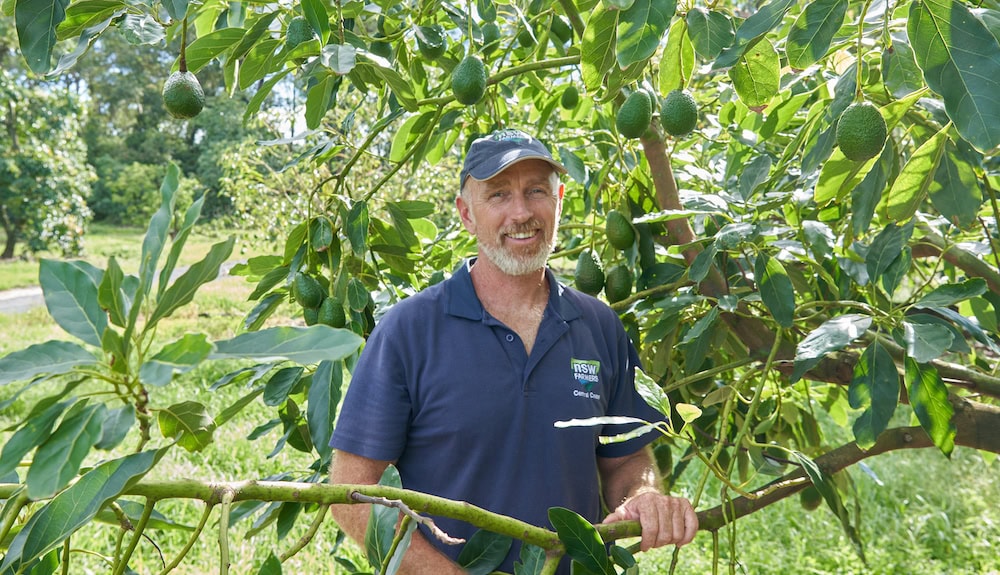 Tim Kemp