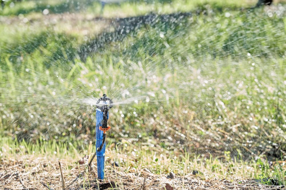 sprinkler