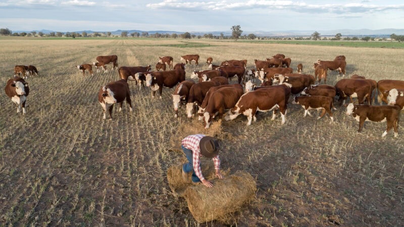 How you can always be drought ready