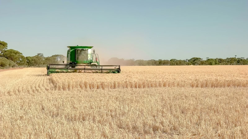 Barley breakthrough with China