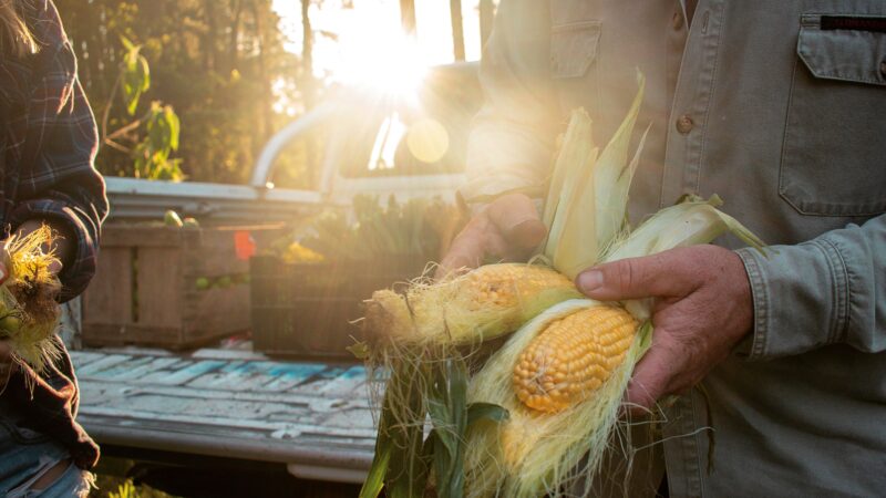 Skills funding for plant industries of $15 million