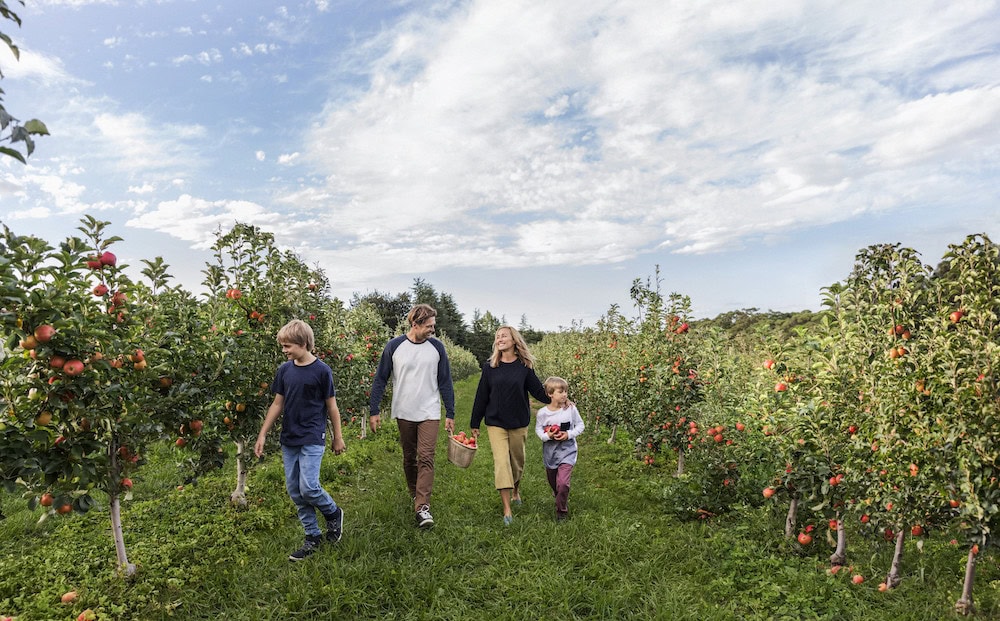 Produce trails and tales