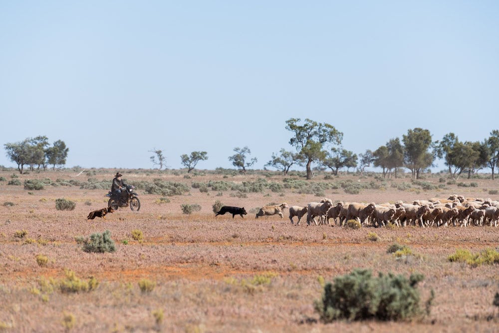 Co-investing in farm innovation