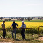 Family farmers