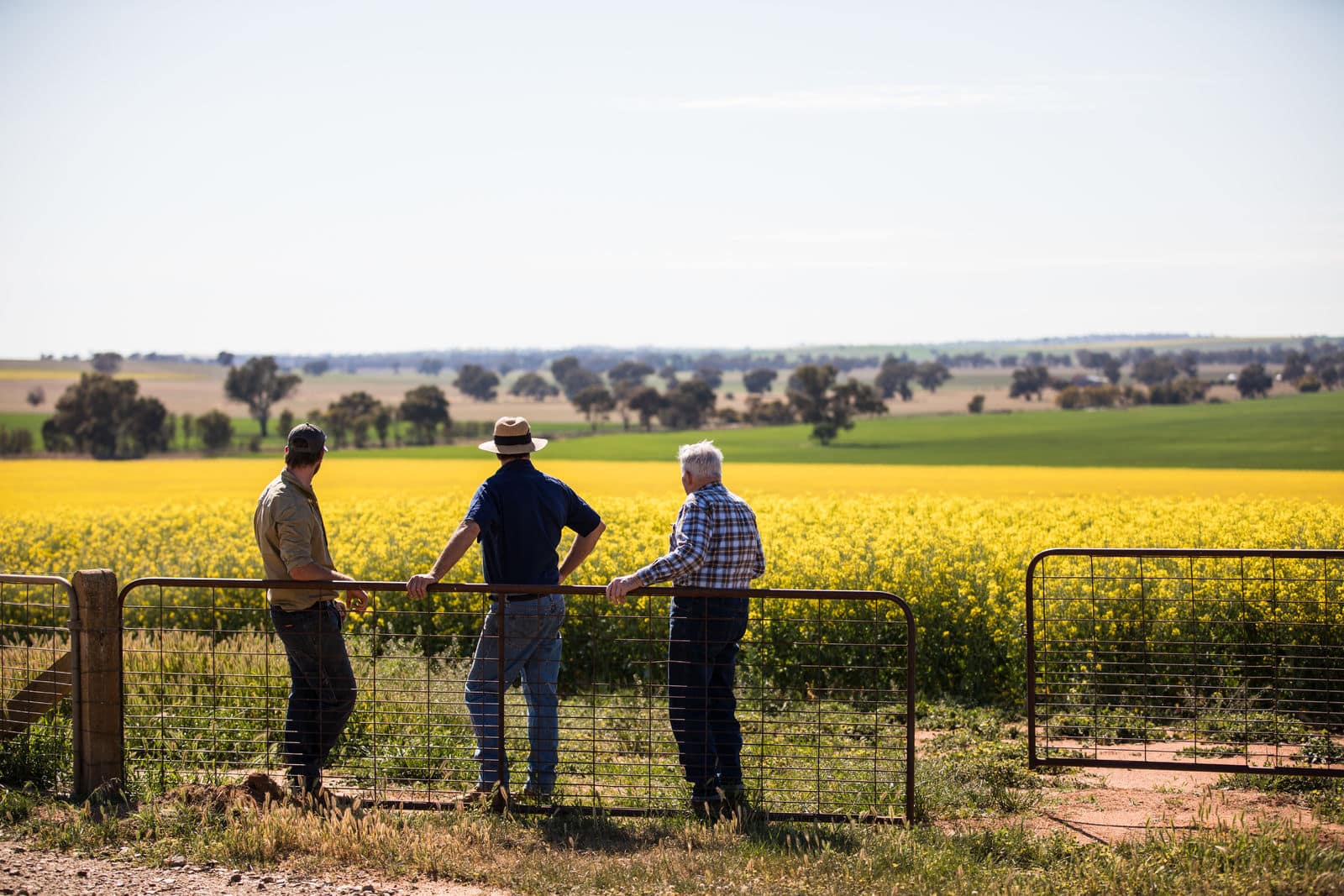 Super tax to hurt family farmers