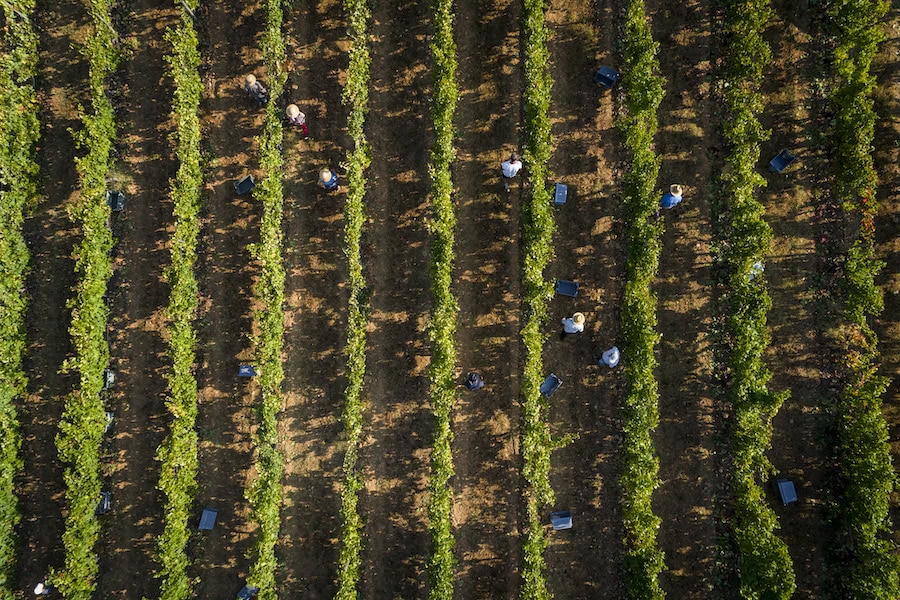 Fruit Picking: a changed industry