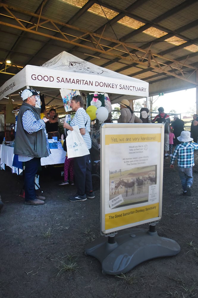 donkey sanctuary stall at Tocal