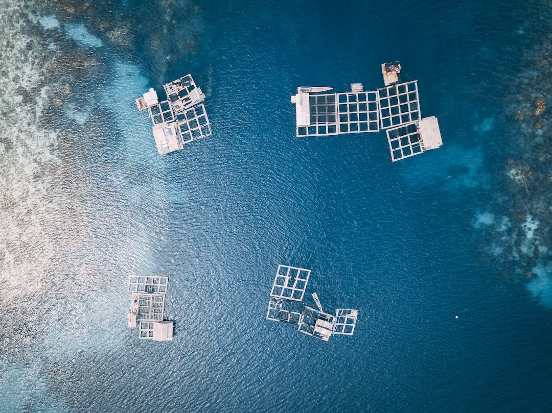An outlook on fisheries and aquaculture in 2024