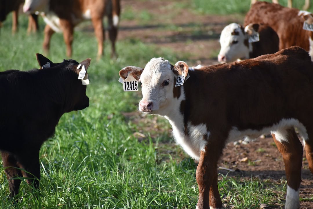 How science and tech are improving food security