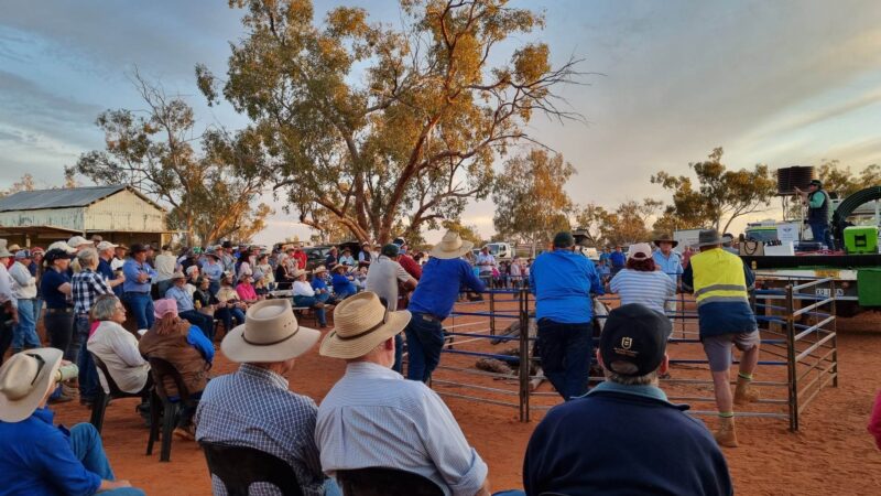 Australia’s remotest field day returns to Hungerford