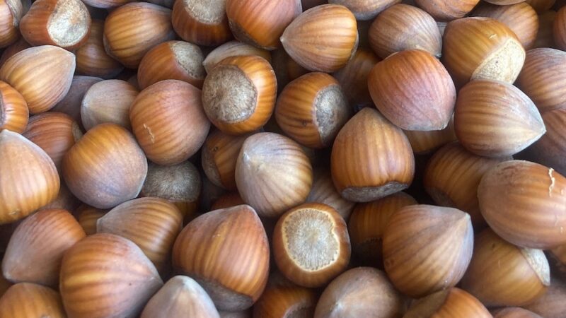 Cracking open the hazelnut industry