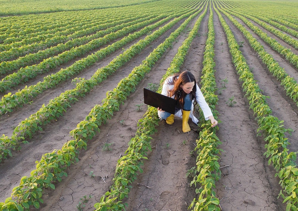 Connectivity underpins the growth and success of Australian AgriTech