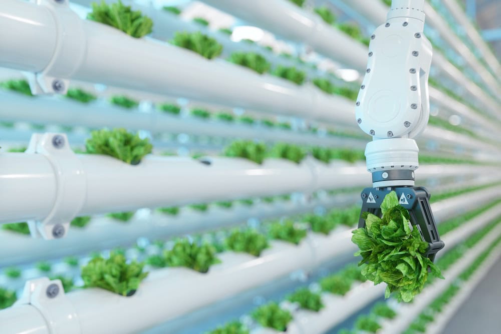 In defence of modern agriculture: is the ‘old way’ always better?