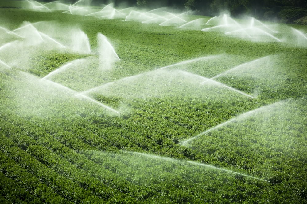 NSWF takes the lead in tackling spray drift