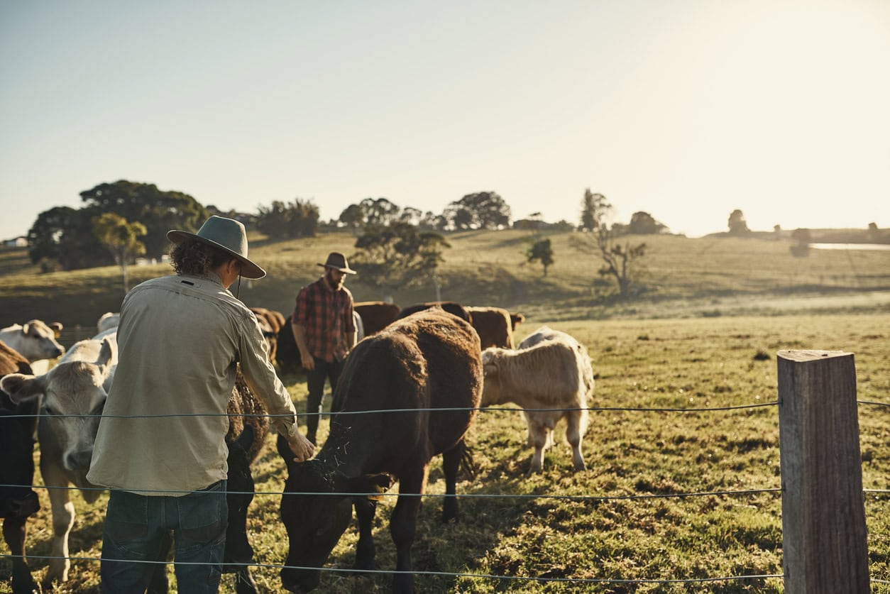 COVID-19’s affect on six farming sectors