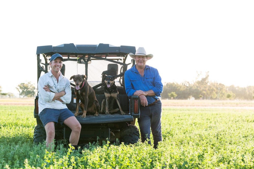Opportunity knocks for the Johnstons