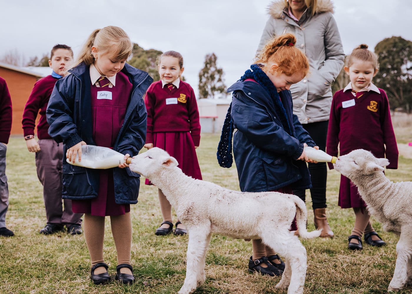 Fun continues for Kids to Farms