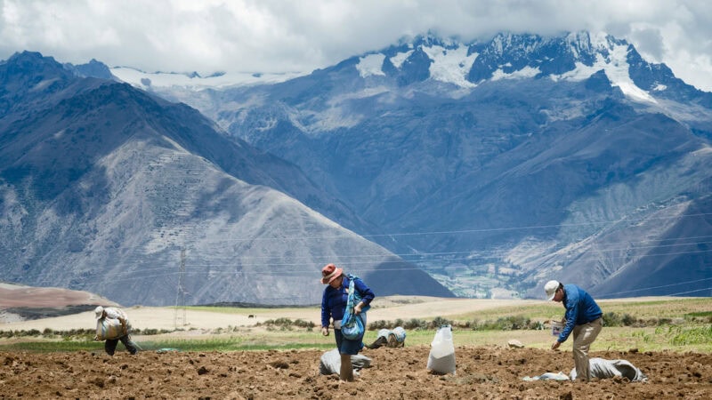 El Niño arrives across the world