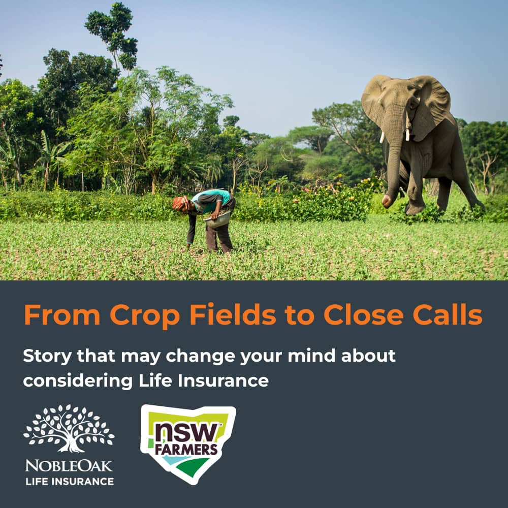 From Crop Fields to Close Calls