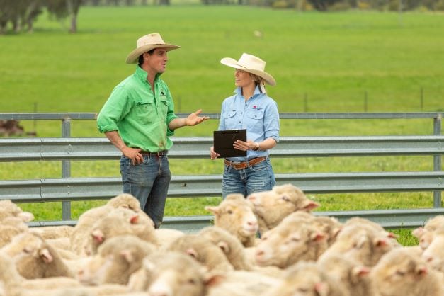 Local Land Services – here for farmers
