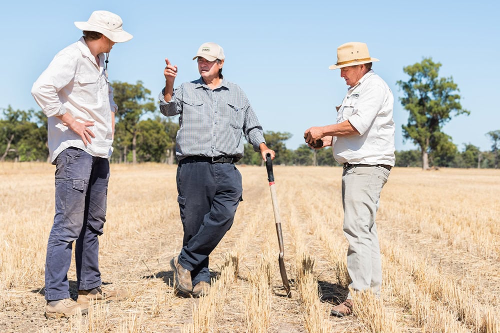 Building soil carbon just got easier