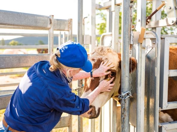 Local Land Services – securing the future of ag