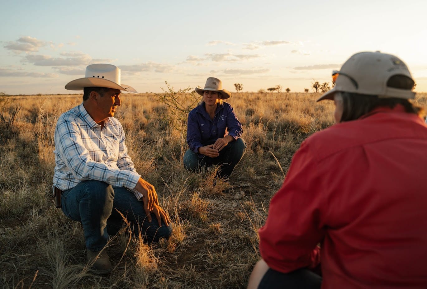 SQNNSW Innovation Hub partnership to feature at Bangalow Film Festival