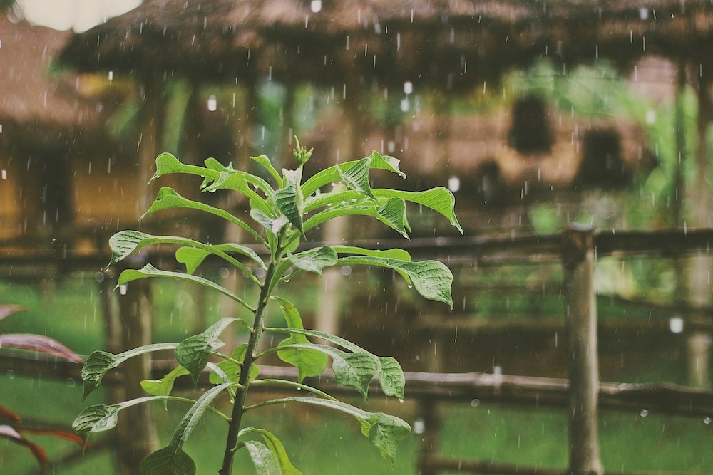Pre-winter rainfall from East Coast low bolsters optimism