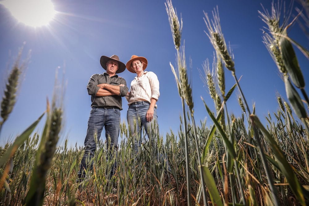 Muddying the Basin Plan with buybacks