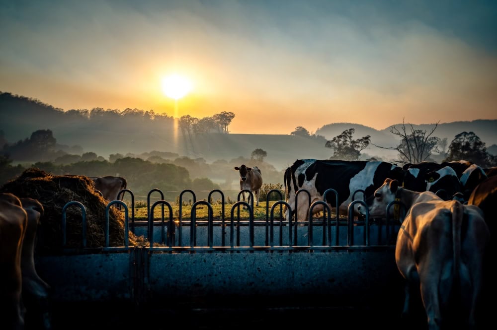 Pathways to reduce dairy farm energy costs