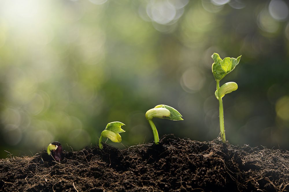 Regenerative ag: the tides are turning