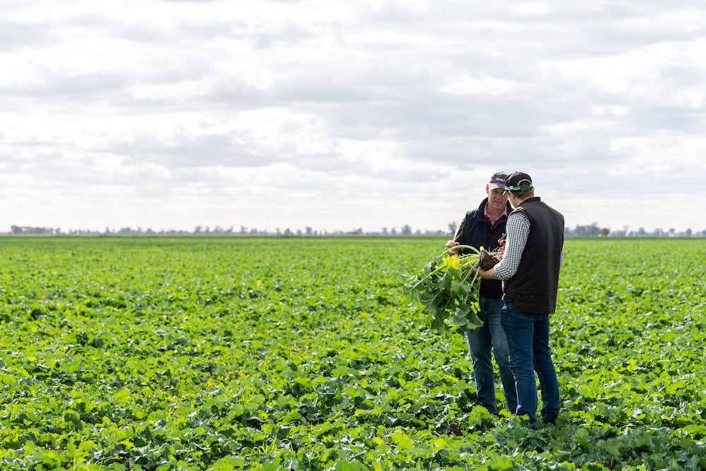 Saving our soil health through regenerative farming