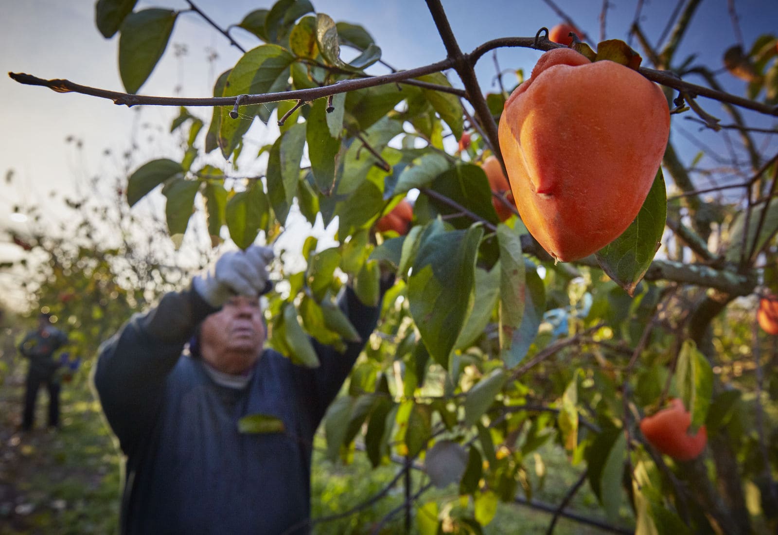 Costs and poor returns threaten food security