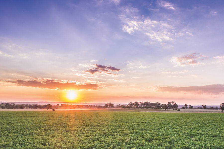 Farm at sunrise