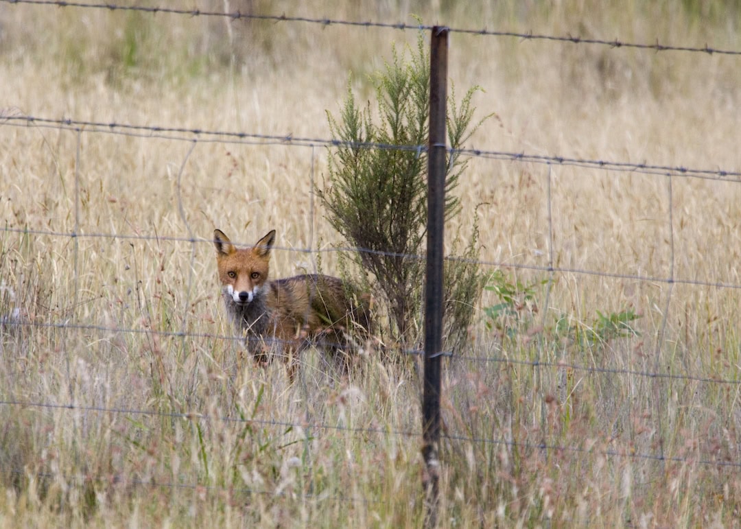 Farmers should address pest control costs